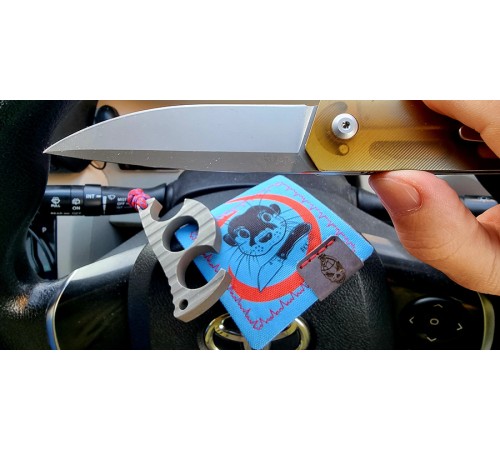 NanoHank Brutalica Otter