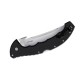 Cold Steel Talwar
