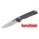 Kershaw Iridium D-2