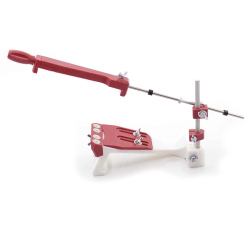 Жук стандарт