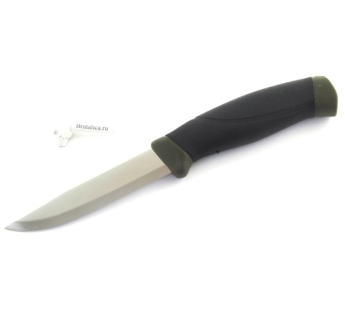 Mora Companion Olive