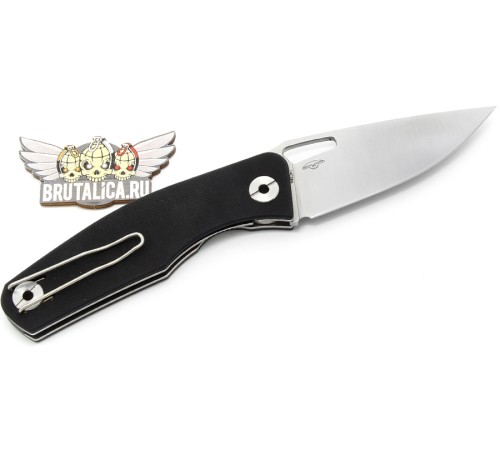 Real Steel Terra G-10
