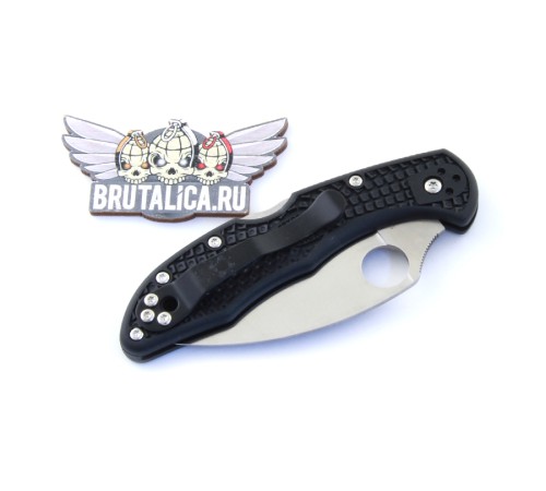Spyderco Delica Wharncliffe