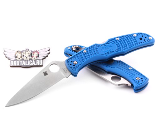 Spyderco Endura Blue flat ground