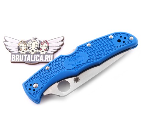 Spyderco Endura Blue flat ground